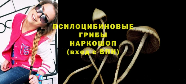 не бодяженный Вяземский