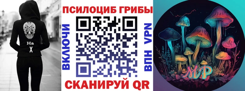 где купить наркоту Рубцовск ссылка на мегу как зайти Псилоцибиновые грибы Psilocybe